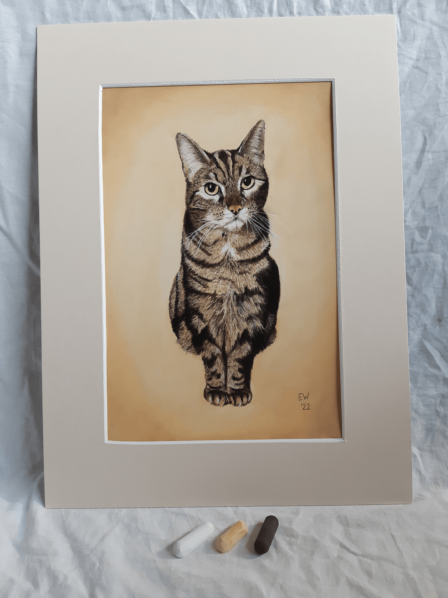 Portret van een kat